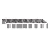 Maestri nieten 4mm/5000st