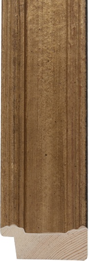 Goud/zwarte rug 48