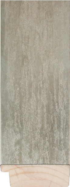 Elementi zilver 62