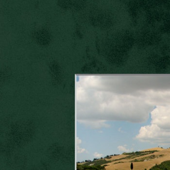 Donker Groen 81.3x101.6