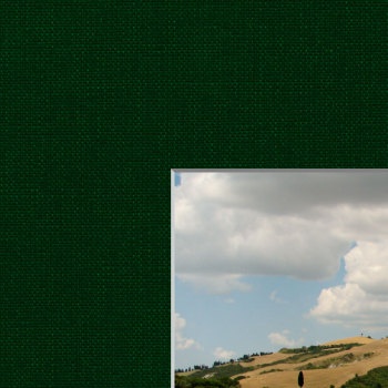 Groen 81.3x101.6 7513